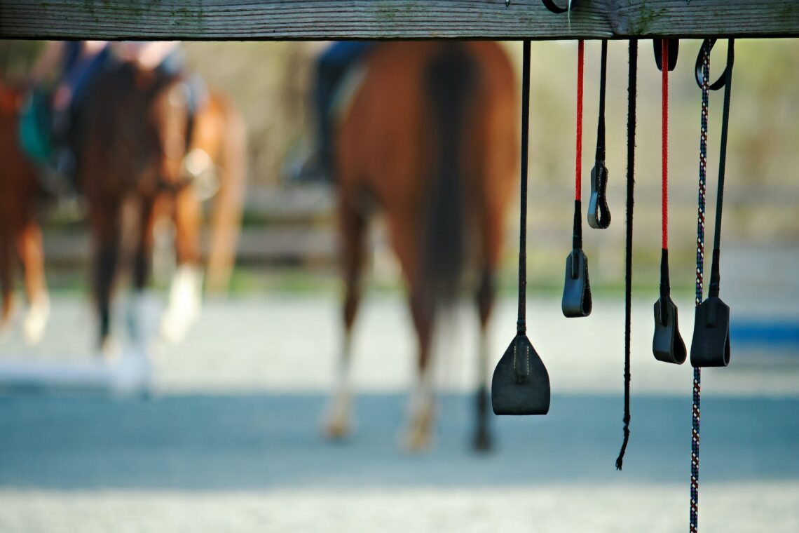 Equestrian Staples Whips Horse Rookie