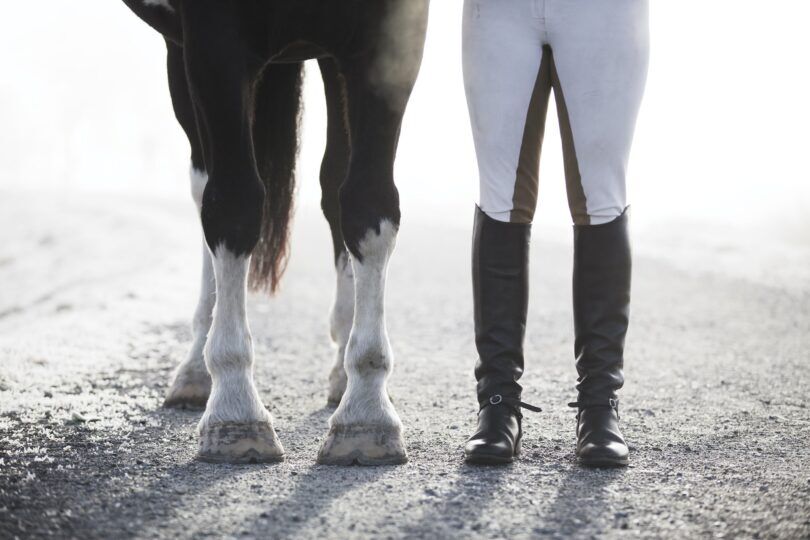 horse and rider legs