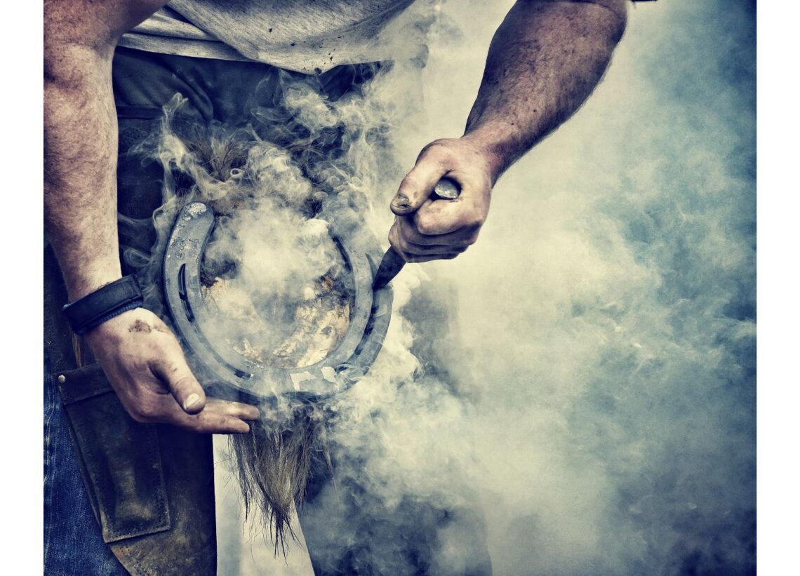 If the Shoes Fit Why (Good) Horseshoes Don’t Hurt Horses Horse Rookie