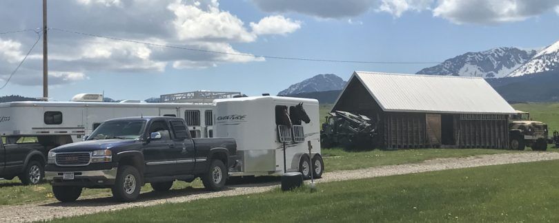 Horse-Trailering-Checklist-Hero