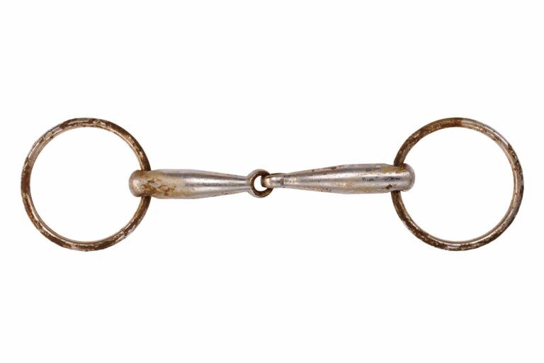 16 Common Types of Horse Bits (A Helpful Illustrated Guide) - Horse Rookie