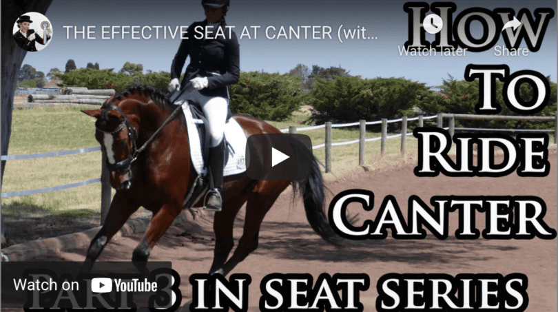 How to ride a horse for beginners (basics, safety, mistakes) - Horse Rookie
