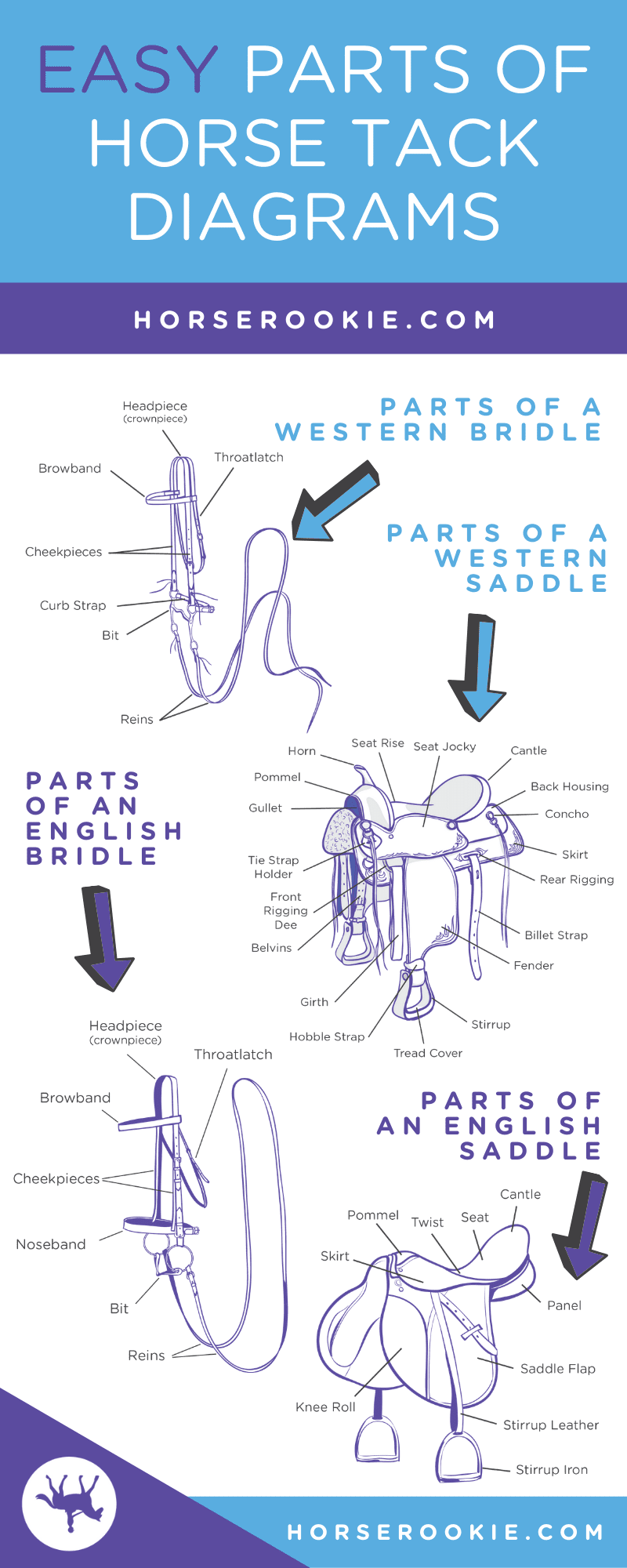 Head-to-Tail Buyer's Guide to the Best Horse Riding Gear - Horse Rookie