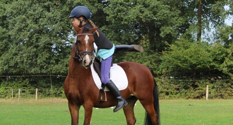 horseback-riding-safety-equipment-min