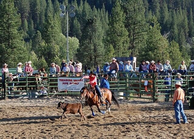 20 Different Types of Western Riding (With Video Examples) - Horse Rookie