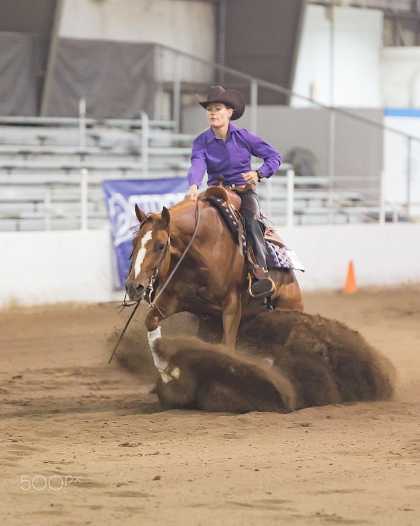 20 Different Types of Western Riding (With Video Examples) - Horse Rookie