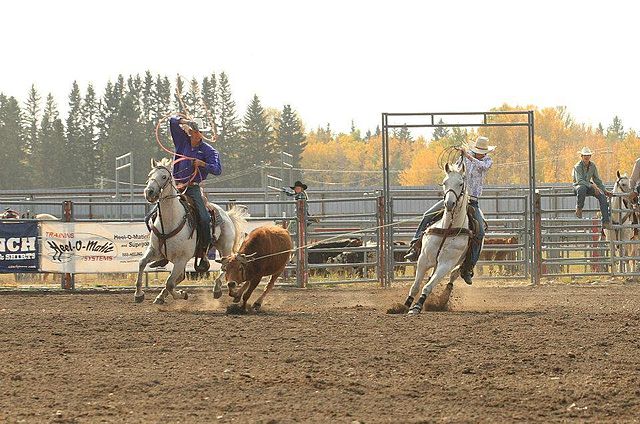 20 Different Types of Western Riding (With Video Examples) - Horse Rookie