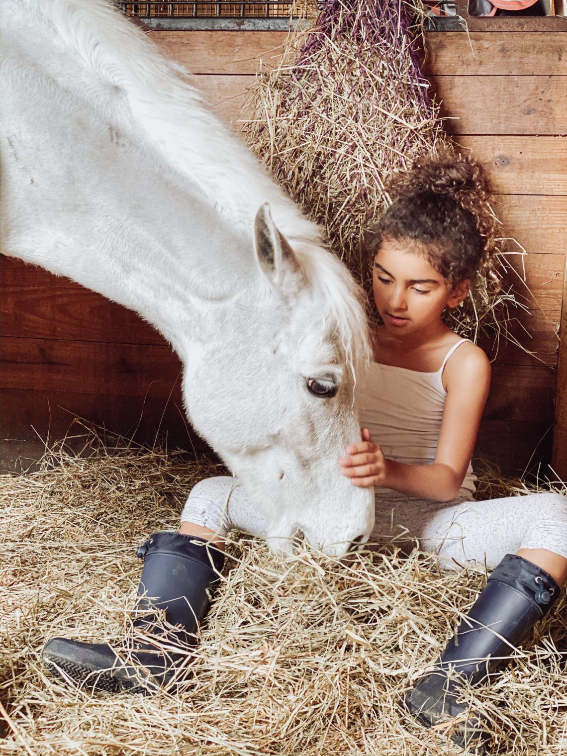 Pony Lifespan 101 (Life Stages, Teeth, Senior Pony Care) - Horse Rookie