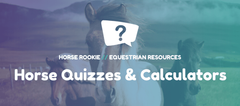 Horse Quizzes and Horse Calculators