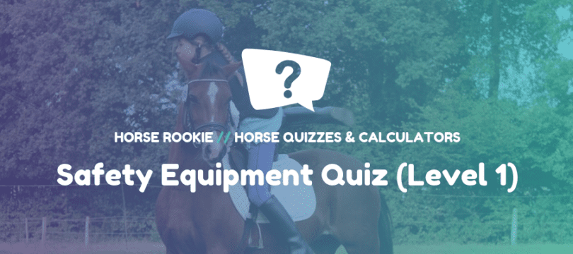 Horse Riding Safety Equipment Quiz