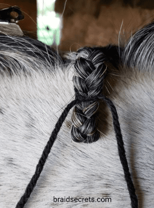 Four Horse Mane And Tail Braiding Techniques You Can Do Yourself