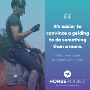 Matt Harnacke Inside Scoop (Bio, Horses, Vlog, Fan Quiz) - Horse Rookie