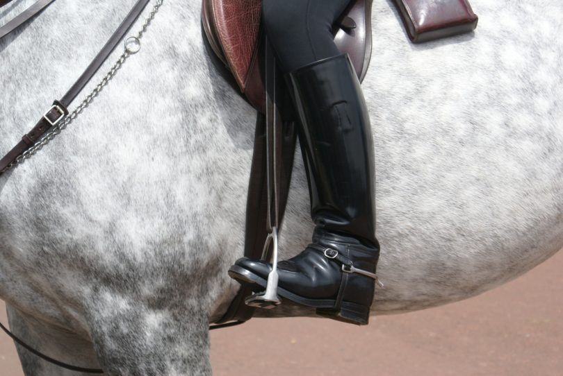 comfortable tall riding boot