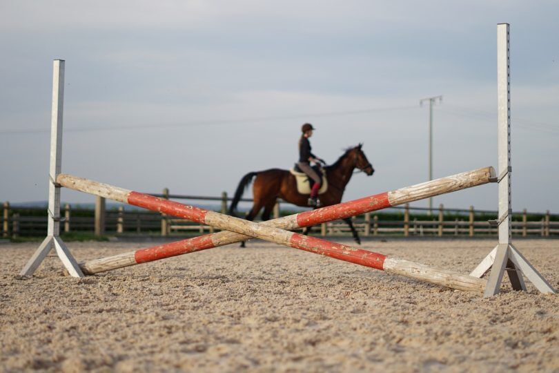 12 Pointers for Jumping Crossrails with Confidence - Horse Rookie
