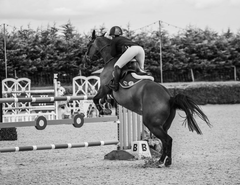 horse jumping fences black and white