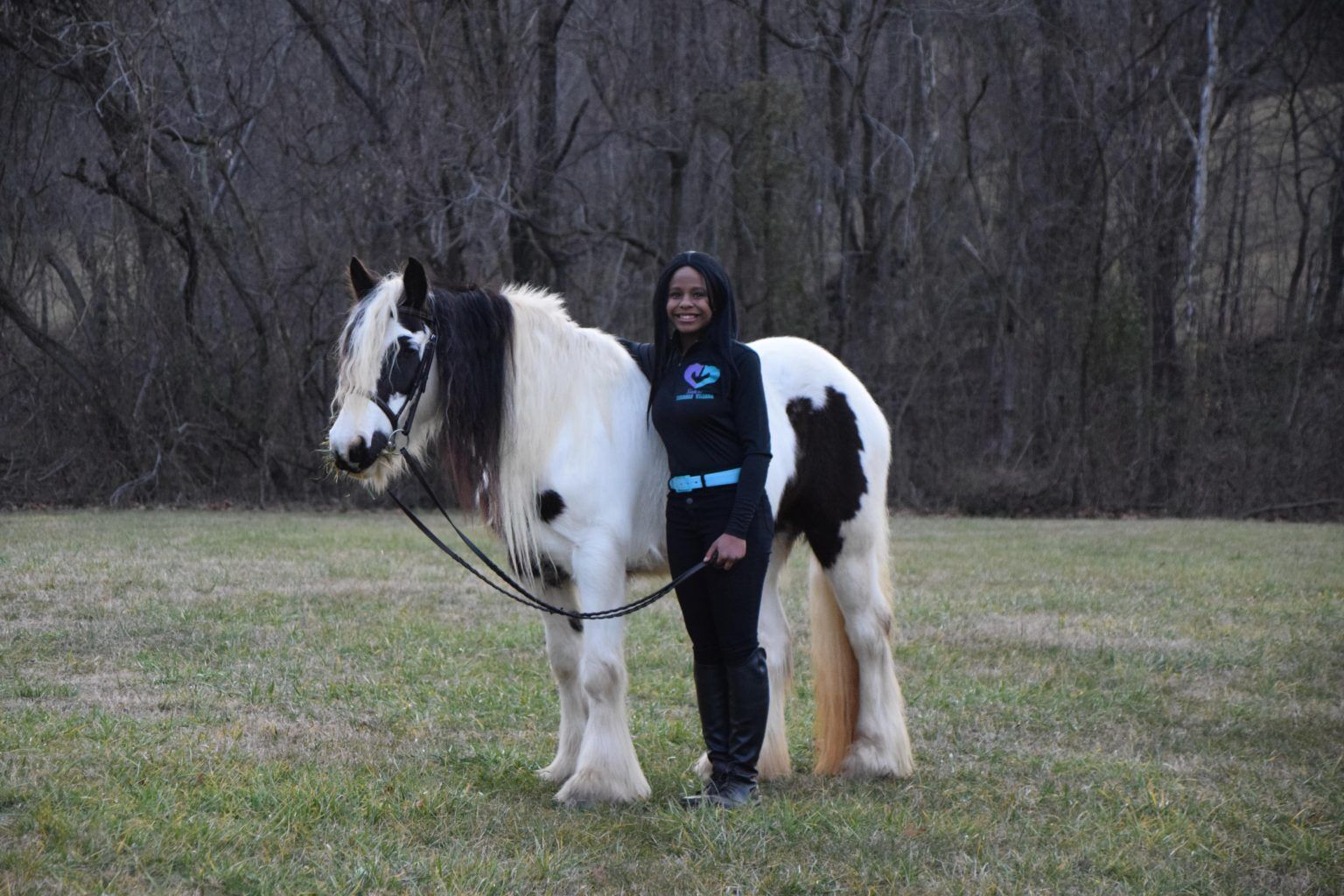 Horses 101 (Fun Facts, Breeds, Cost, Care, Riding, Etc.) - Horse Rookie