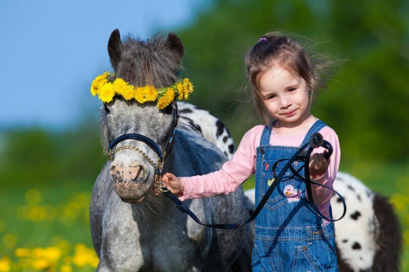 pony with flower wreath and little girl