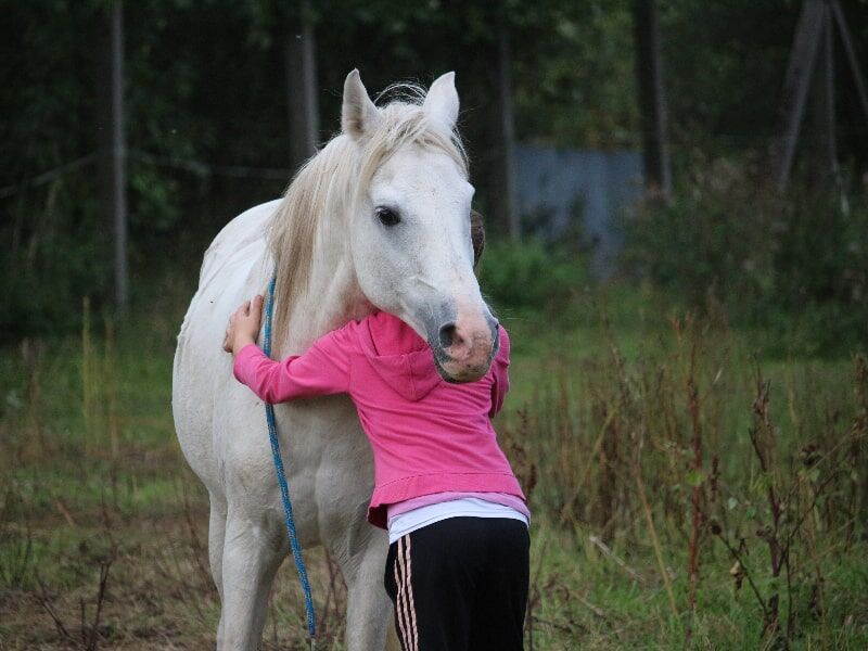 horse girl hugging
