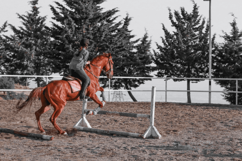 training tips for horse rider