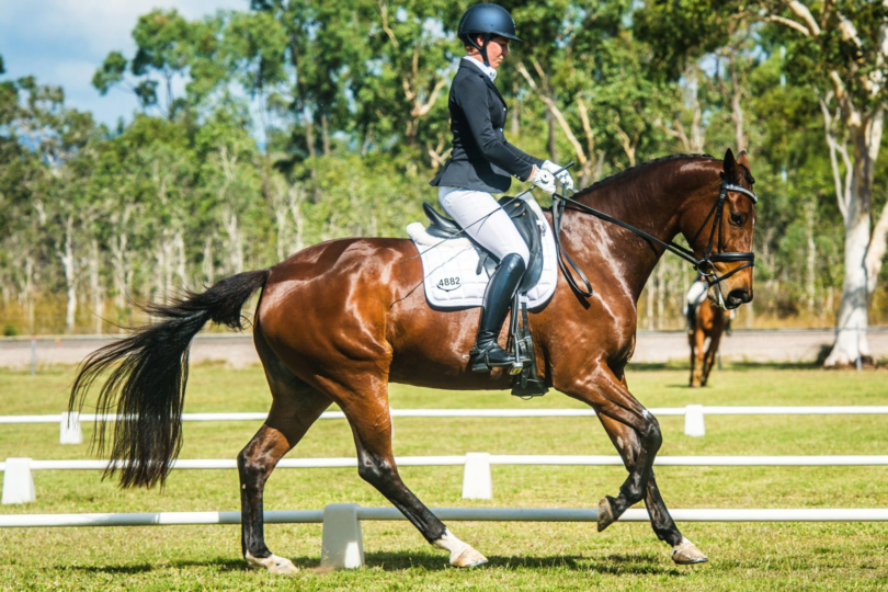 dressage rider canter