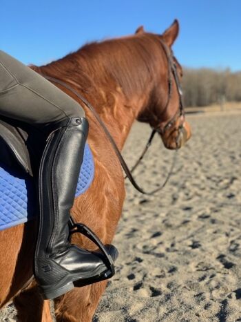 Sporty Meets Sleek Ariat V Sport Boots Review Horse Rookie