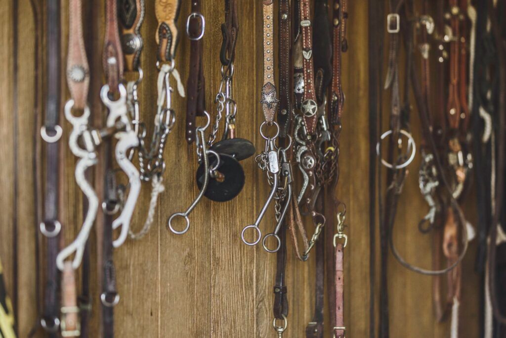 How much does horse tack cost? (English + Western) Horse Rookie