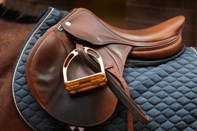 English Horse Tack 18