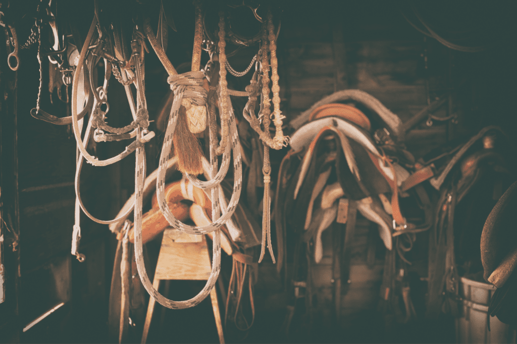 How much does horse tack cost? (English + Western) Horse Rookie