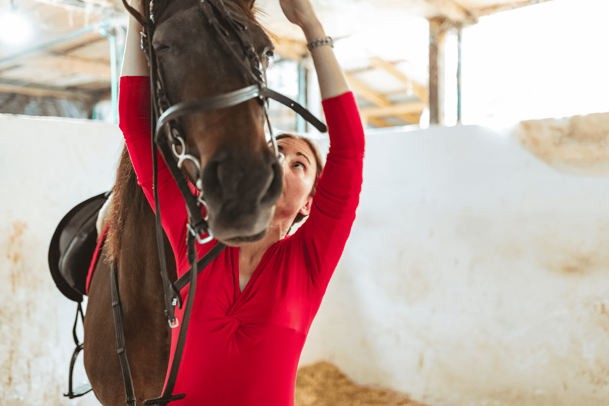 How much does horse tack cost? (English + Western) Horse Rookie