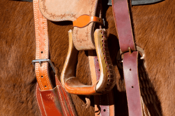 How much would you pay for this tack box? : r/Horses