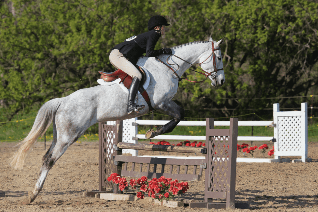 Rookie Rundown: What to Wear to an English Horse Show - Horse Rookie