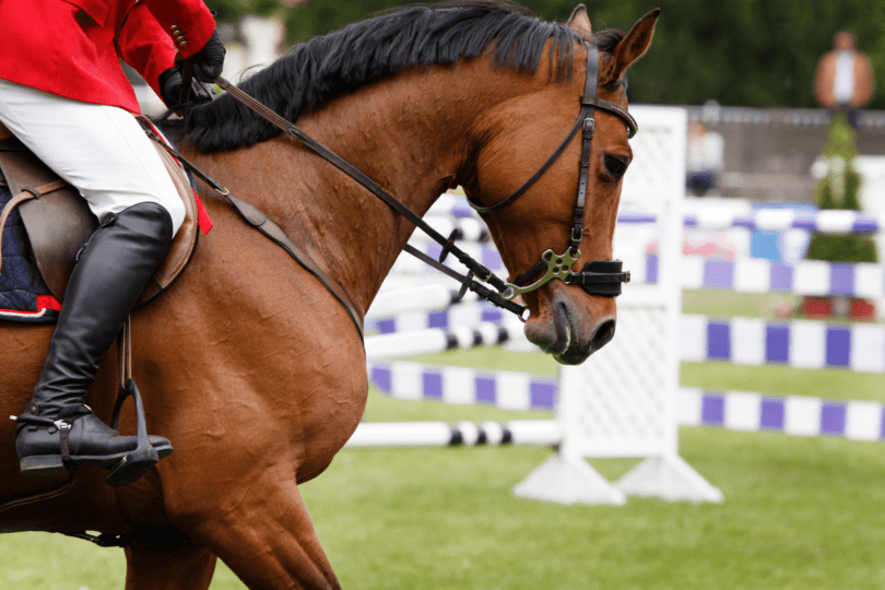 equestrian-olympics-facts