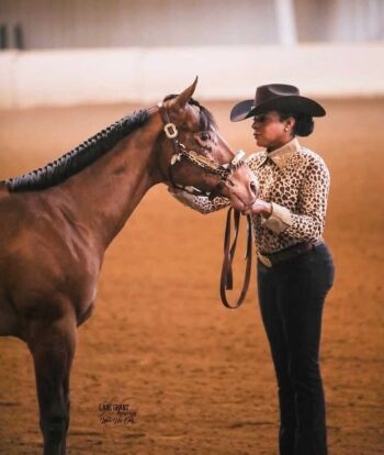 Rookie Rundown What to Wear to a Western Horse Show Horse Rookie