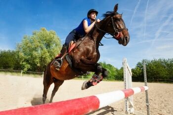 Real Talk: How Much Does a Jumping Horse Cost? - Horse Rookie