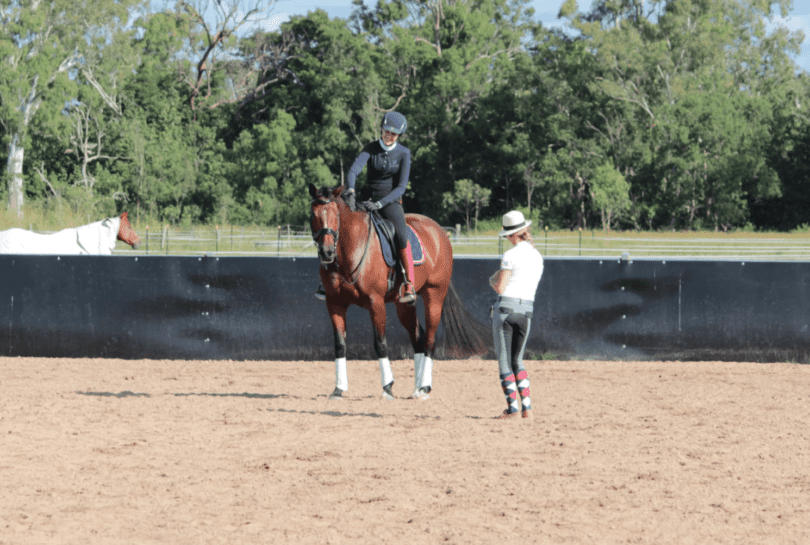 dressage coach