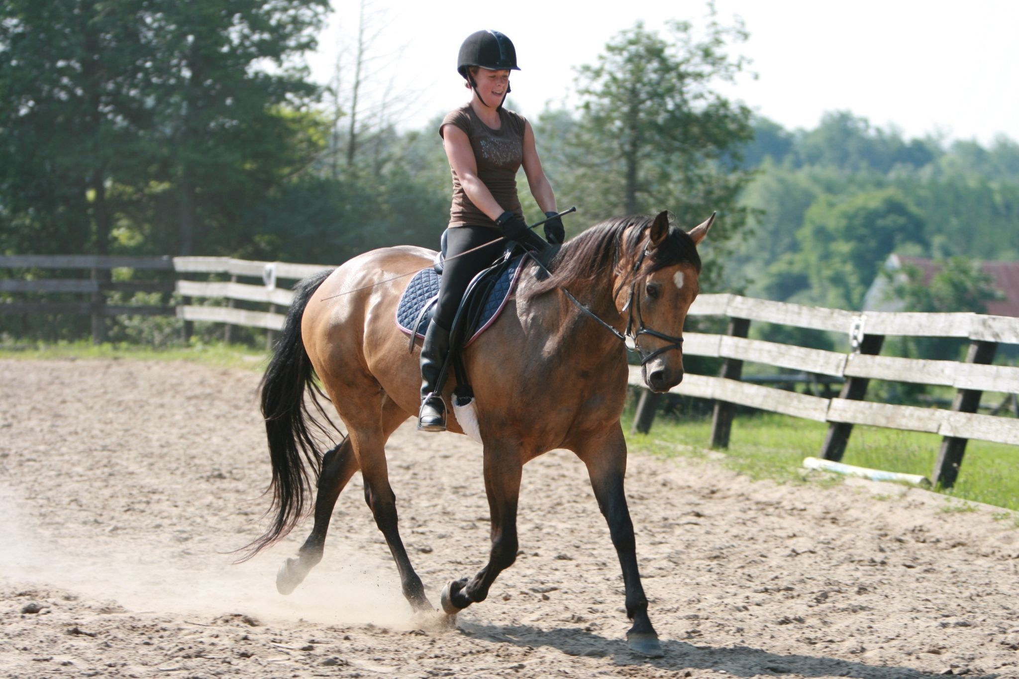 How to Dress for Your 1st Dressage Schooling Show - Horse Rookie