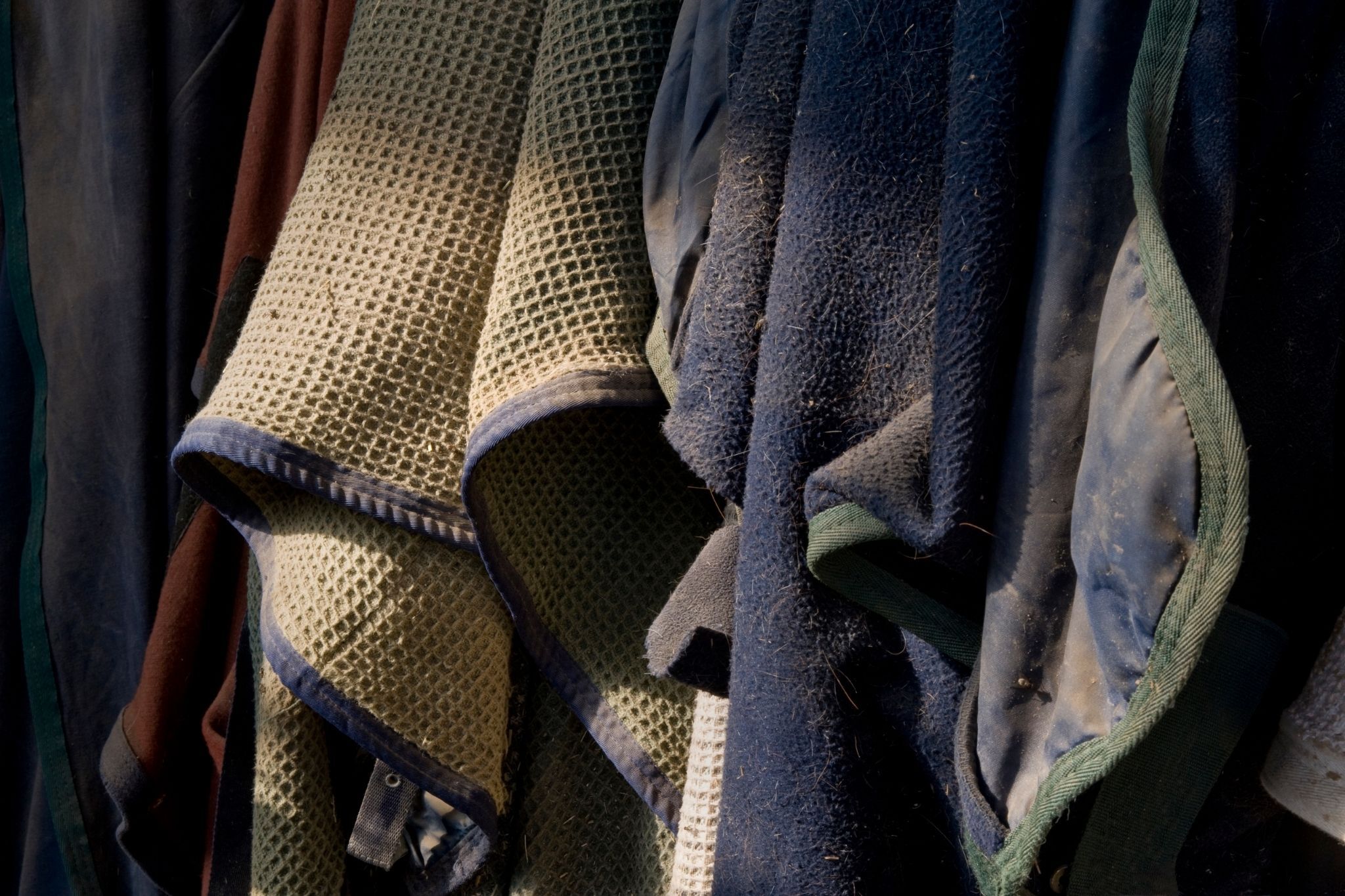 how-to-wash-horse-blankets-the-easy-way-horse-rookie