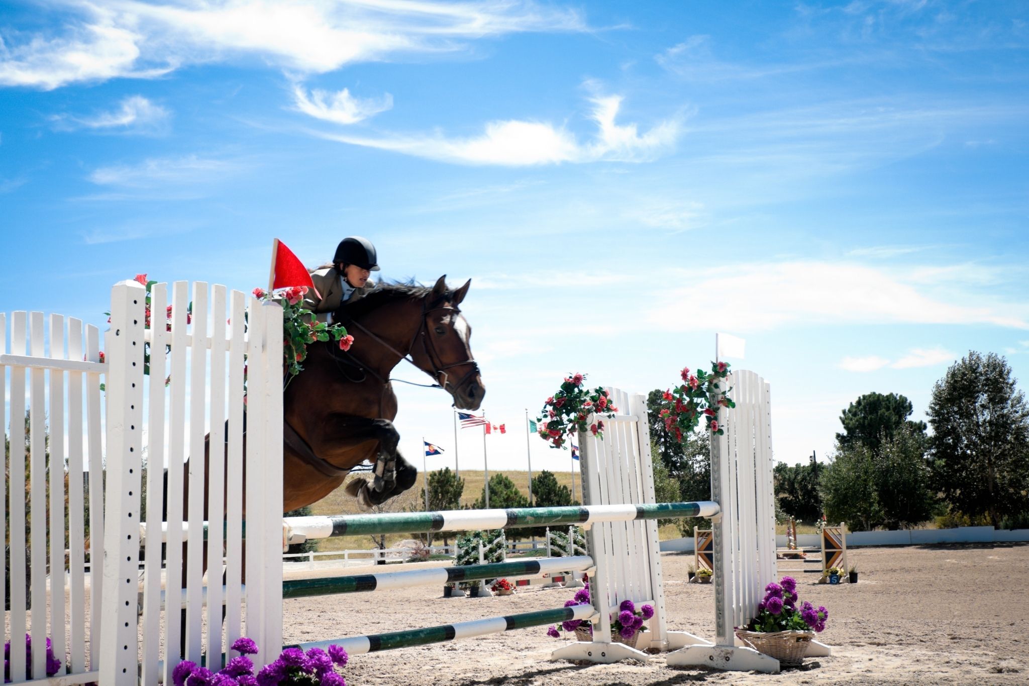 Walking a Show Jumping Course: A Helpful Beginner's Guide - Horse Rookie