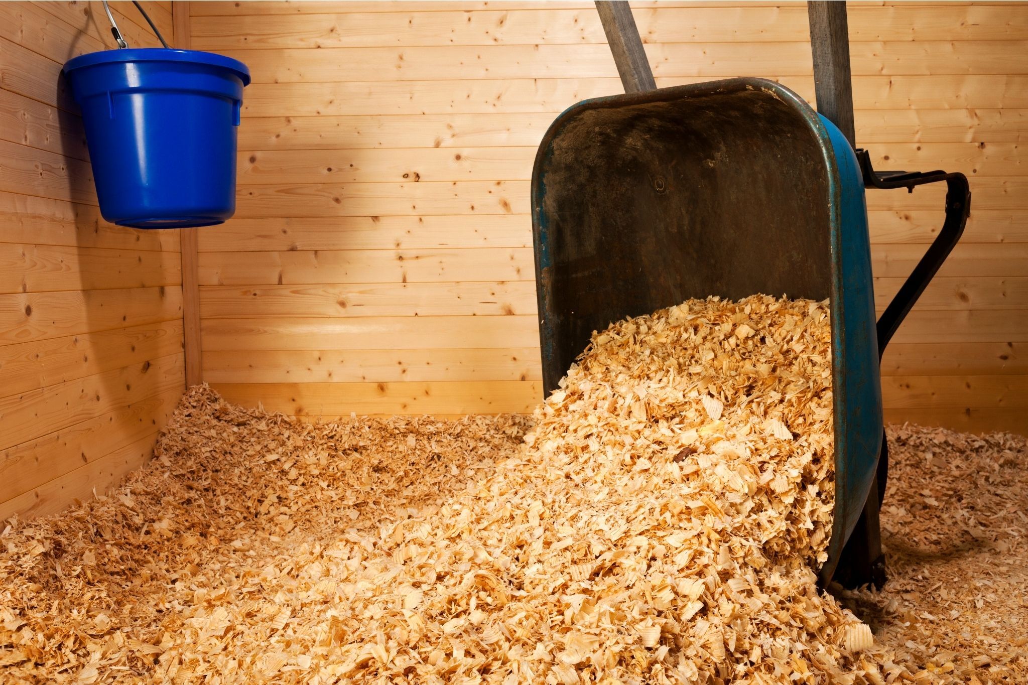 Horse Stall Shavings—How Much Do I Need? - Horse Rookie