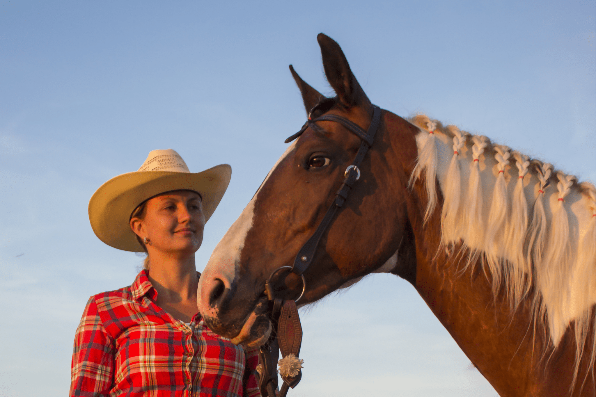 Adults Can Go to Horse Camp, Too! (6 Top Ranches) - Horse Rookie