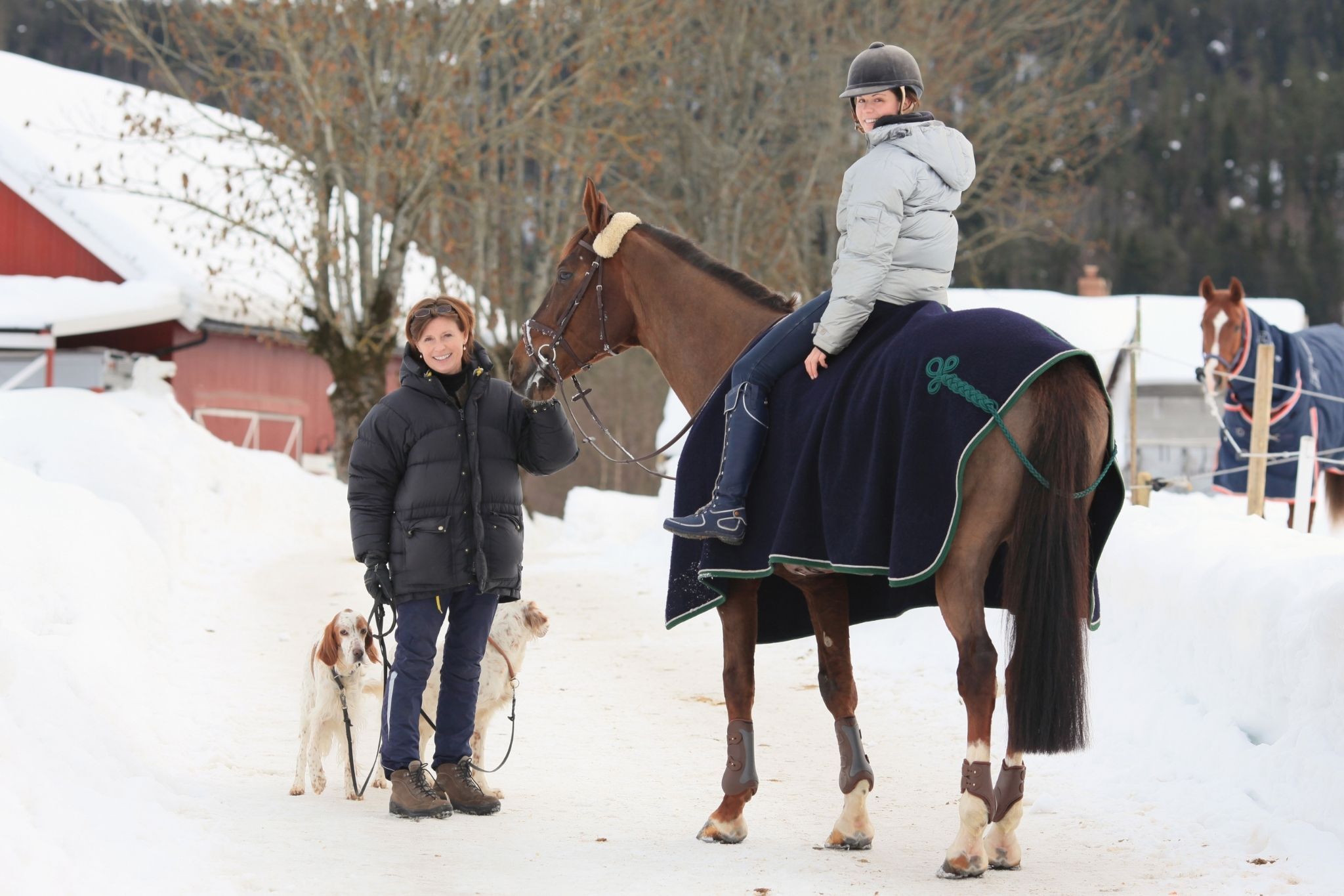Chilled to the Bone: What's Too Cold to Ride Horses? - Horse Rookie