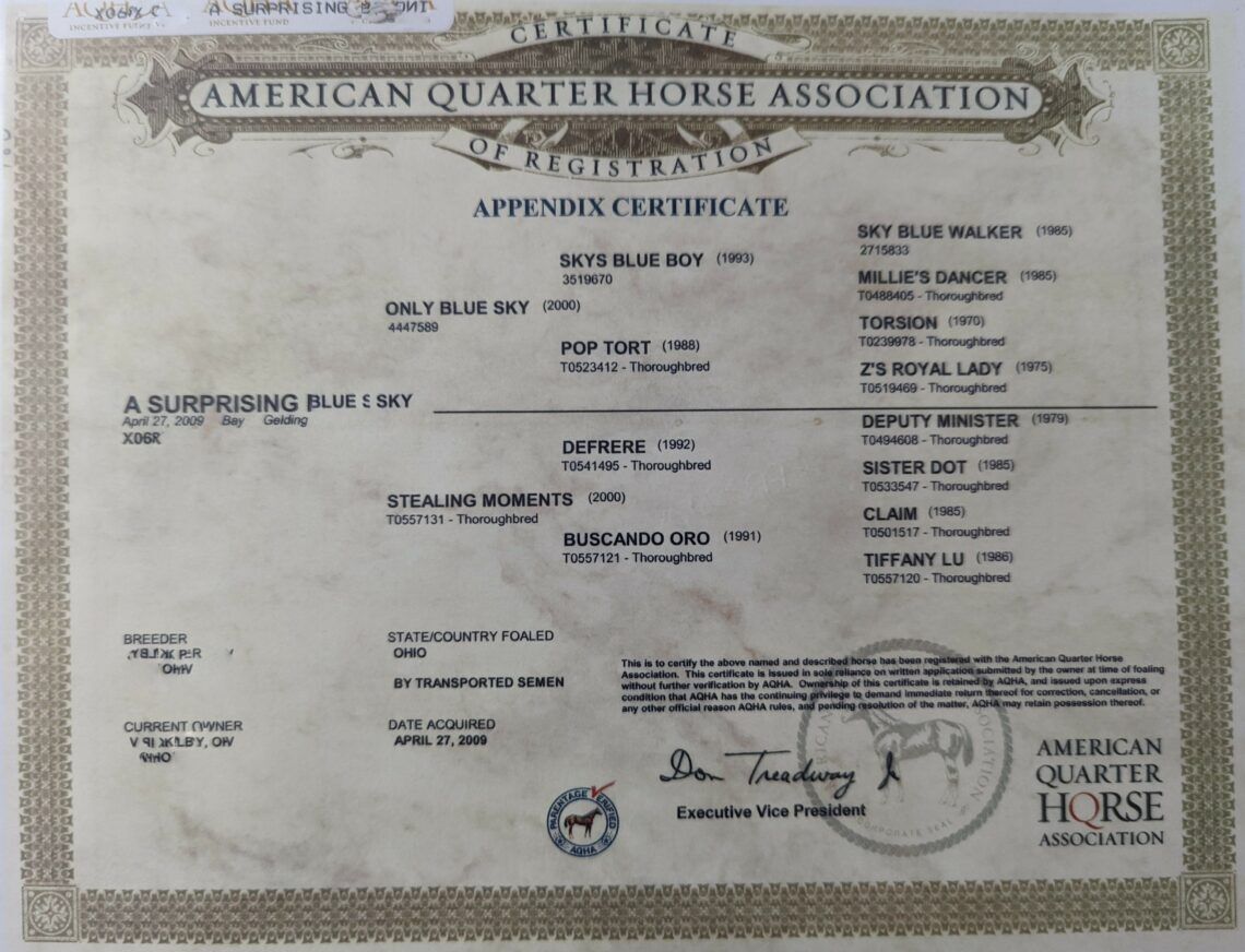 Breeding Basics Understanding the Equine Pedigree Horse Rookie