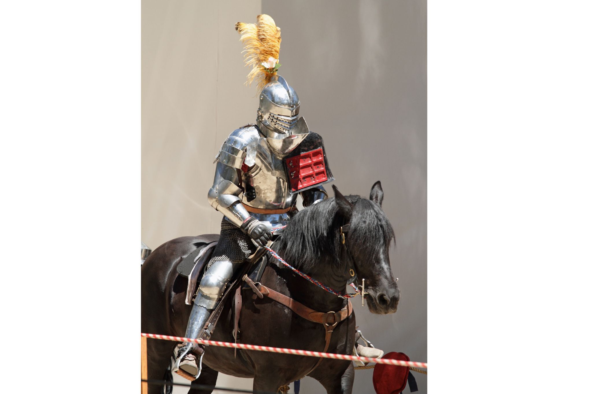Jousting Giants: What kind of horses did knights ride? - Horse Rookie
