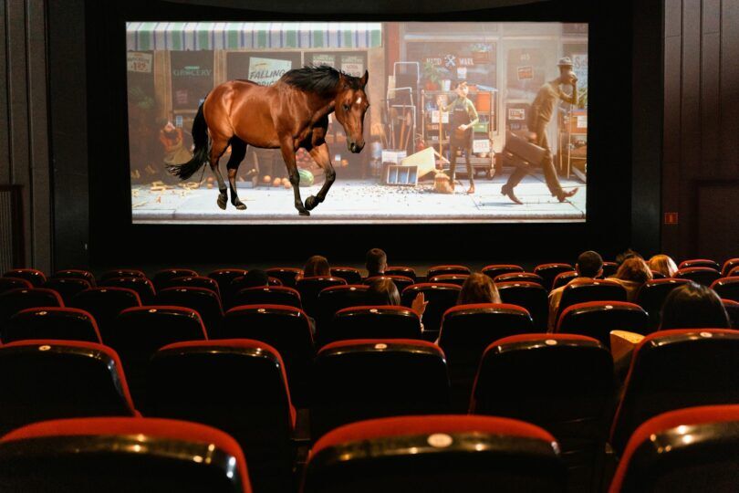 movie theater with horse on screen