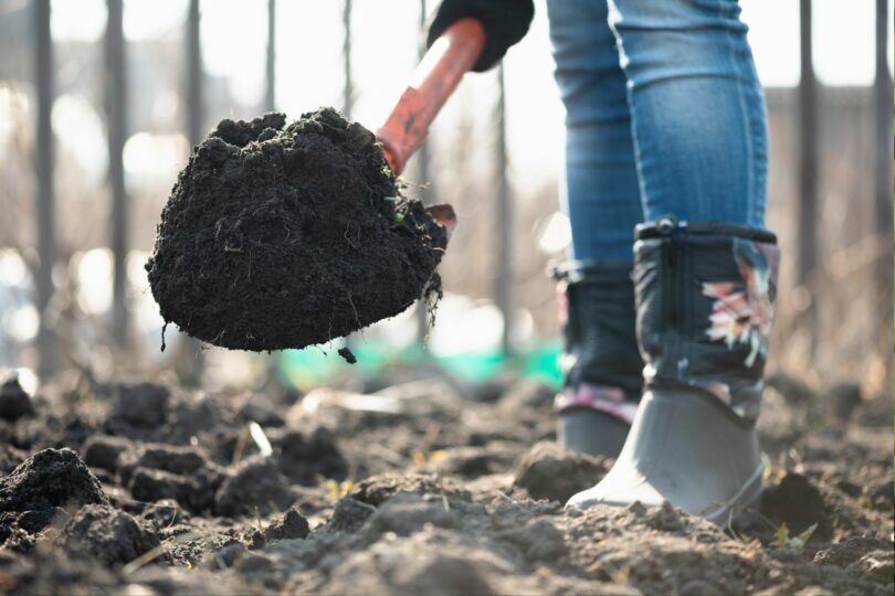 shoveling soil in a garden