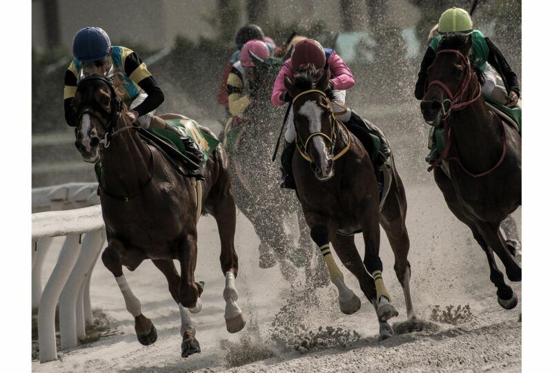 racehorses gallop along a dirt track