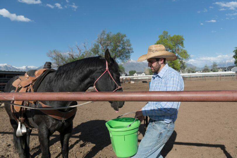 cowboy carrying green water bucket to black horse