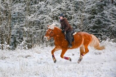 5 Warmest Boots for Bone Chilling Winter Horse Riding Horse Rookie