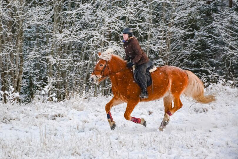 woman galloping through the snow on horse