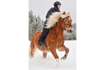Mountain Horse Ovation Highlander Winter Boot Mountain Horse